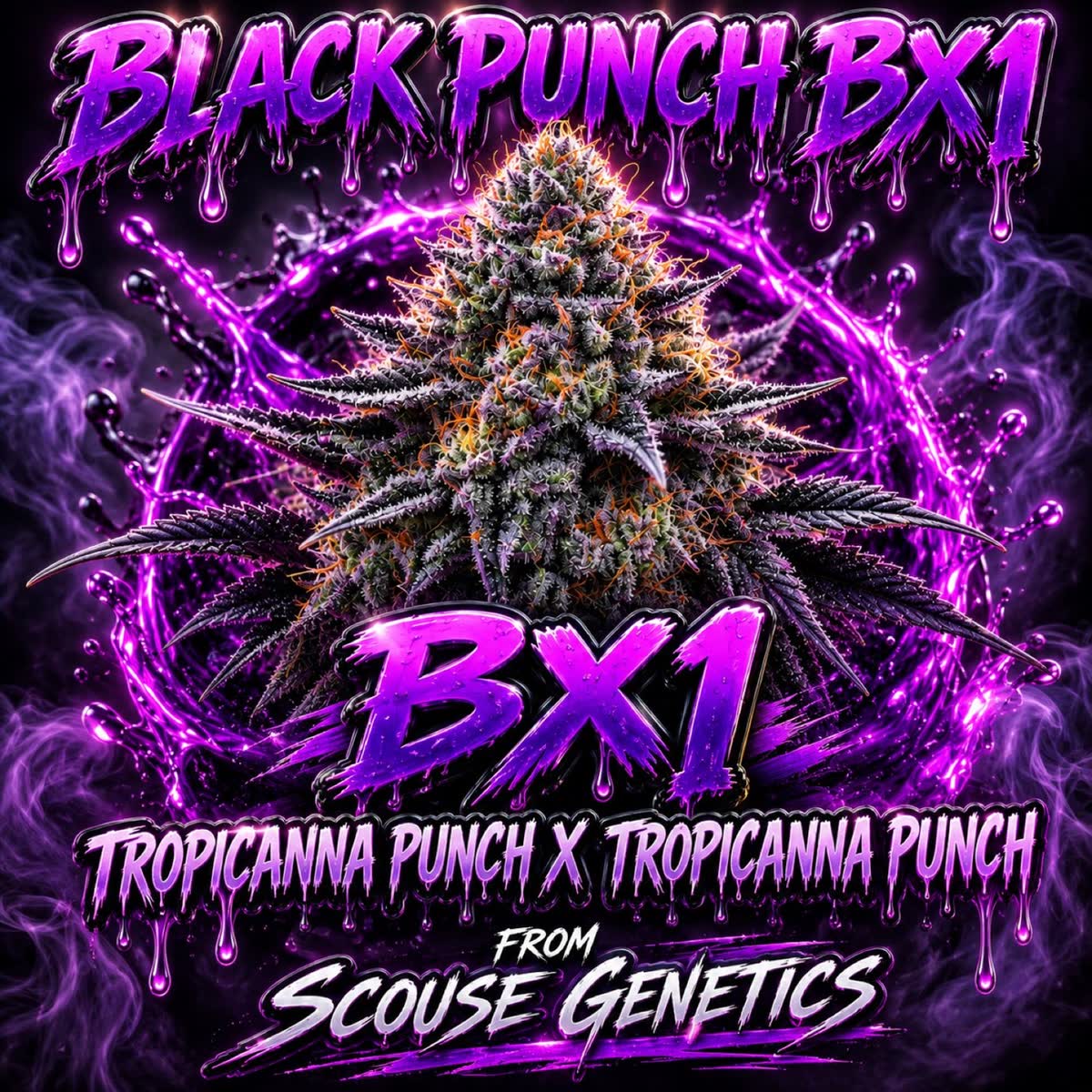 Black Punch Bx1